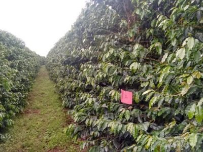 Fotos Fernando Dill Hinnah