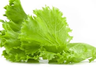 Foto 01 – FotosShutterstock FotosShutterstock