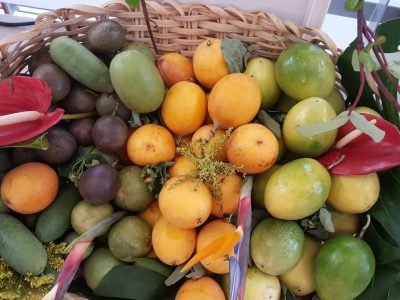 Frutos de diferentes espécies de Passifloras Fotos JRS