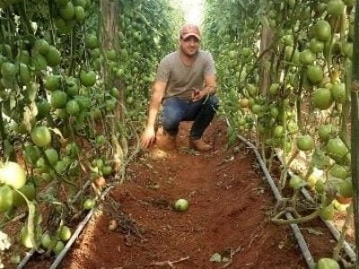 Heros Danilo Mainardes Fonseca, produtor de Curiúva (PR) - Foto Arquivo pessoal