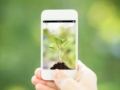 Foto-01-Modelagem-auxilia-na-avaliação-de-sistemas-agrícolas-Crédito-Shutterstock