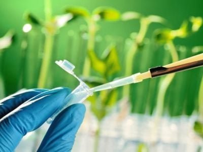 Nanotecnologia - CréditoShutterstock