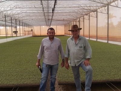 O Suncover Blue potencializa a atividade fotossintética das plantas