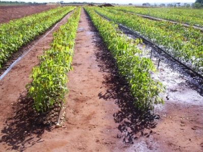 ?????????????????????????