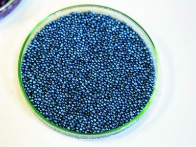 Macro. Processed blue-coated rapeseed seeds in a petri dish in the lab. High quality photo