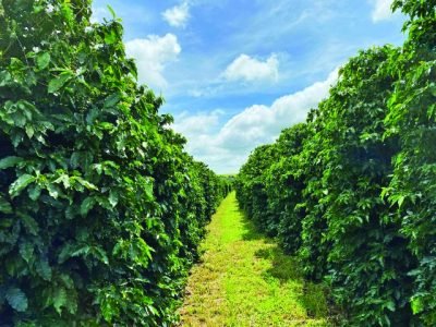 Fotos: Fernanda Duarte