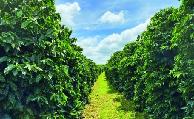 Fotos: Fernanda Duarte