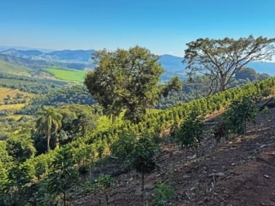 Foto: Fazenda Santuário Sul