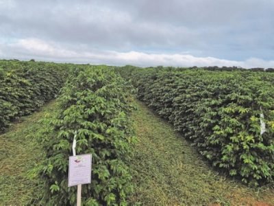 Fotos: C3 Consultoria