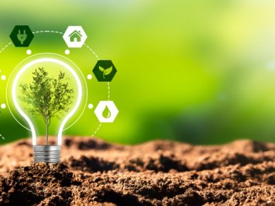 Environmental,Protection,,Renewable,,Sustainable,Energy,Sources.,Plant,Growing,In,The