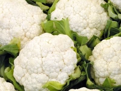 Foto-01-Plantio-de-couve-flor-exige-mudas-de-alta-qualidade-Créditos-Shutterstock