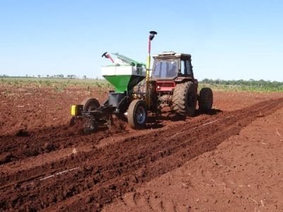 Foto-01-Plantio-é-operação-mais-importante-na-implantação-florestal-Créditos-Crocodilo-â-Edson-Técnica