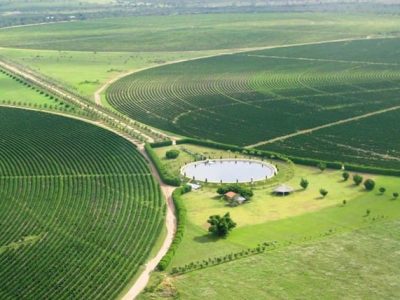 Prós e contras da quimigação na agricultura - Crédito André Fernandes