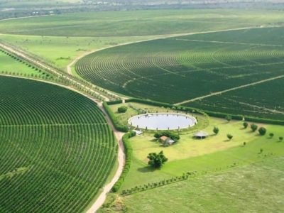 Prós e contras da quimigação na agricultura - Crédito André Fernandes