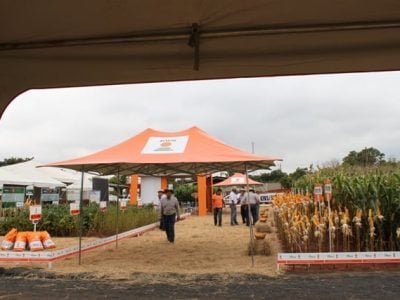 Foto-01-Riber-Sementes-Créditos-Ana-Maria-Diniz