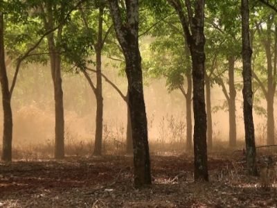 Foto 01 - Sem crédito