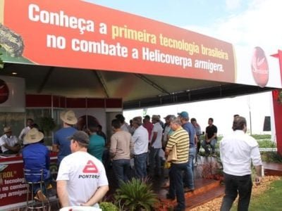 Simbiose - FotosFransérgio Leão