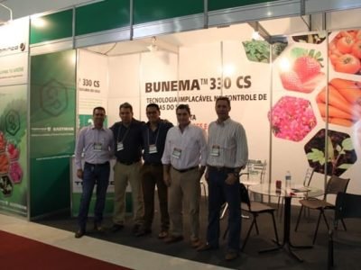 Equipe na Hortitec 2015 - Crédito Luize Hess