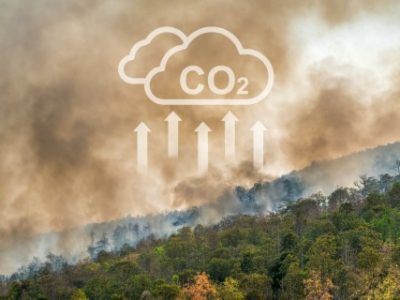 Wildfires release CO2 emissions and other greenhouse gases (GHG) that contribute to climate change.