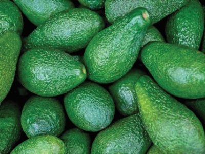 fresh avocado on the market. avocados are very nutritious and contain a wide variety of nutrients.