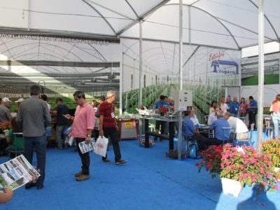 Tropical Estufas - Foto Ana Maria Diniz