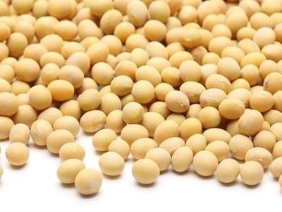 Uso de sementes próprias compromete lavoura Crédito Shutterstock