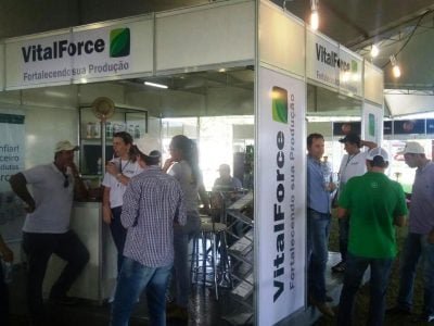 Foto-01-Vital-Force-Show-Safra-Crédito-Divulgação