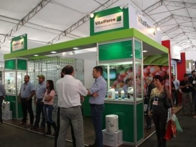 VitalForce -Fotos Luize Hess