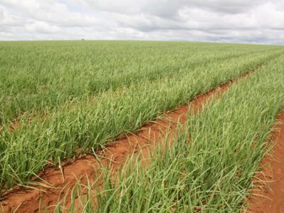 Foto-01-abrir-matéria-â-Crédito-Luize-Hess Foto-01-abrir-matéria-â-Crédito-Luize-Hess