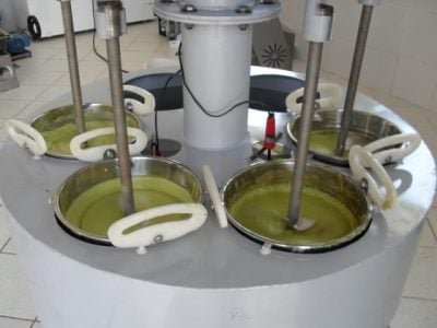 Produção de óleo de abacate