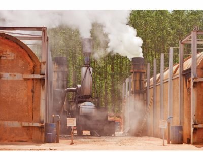 Biocarbo - imagens revista agosto - 4