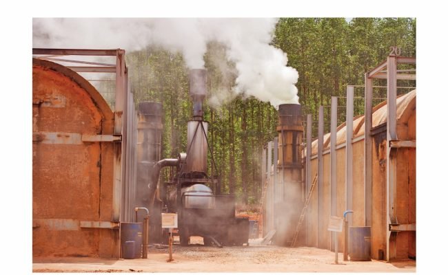 Biocarbo - imagens revista agosto - 4