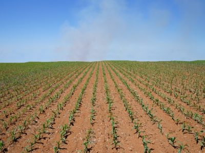 Crédito: Ademir Torchetti