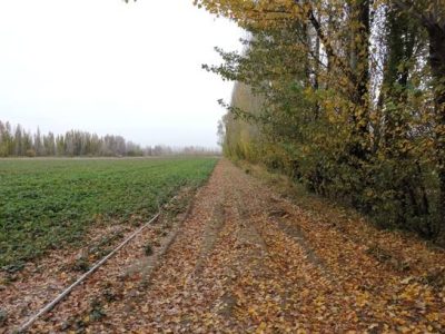 Foto-012-e1484153956948