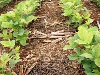 Foto 01Abrir matéria - Crédito Miriam Lins