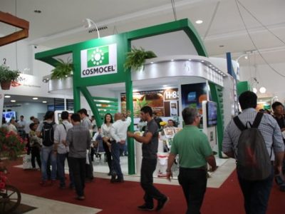 Cosmocel - Créditos Ana Maria Diniz