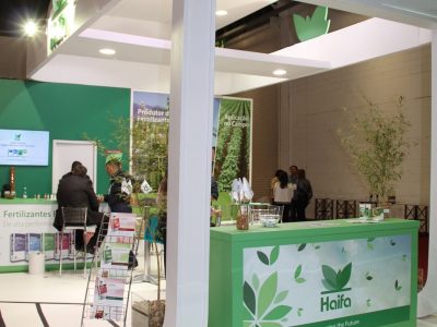 Créditos Ana Maria Diniz