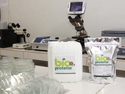 Créditos Erasmo Reis  EPAMIG