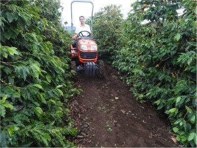 Créditos José Braz Matiello