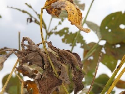 Fotos Ana Maria Diniz