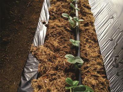 Fotos Gilberto Almeida