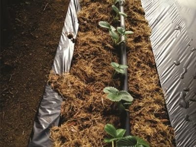 Fotos Gilberto Almeida