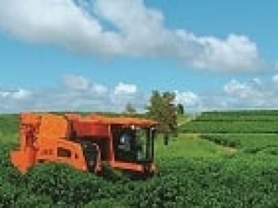 Foto-01Mecanização-do-café-Créditos-Jacto