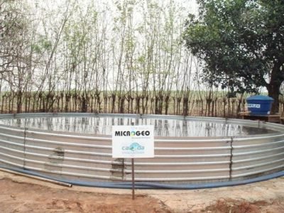 Microbiol Crédito Divulgação