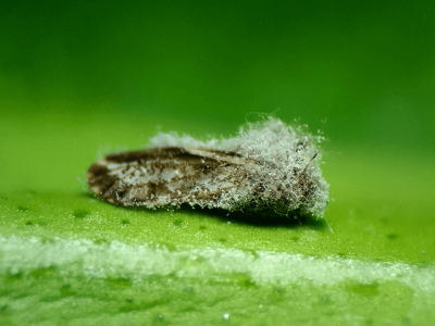 Praga - Crédito: Shutterstsock