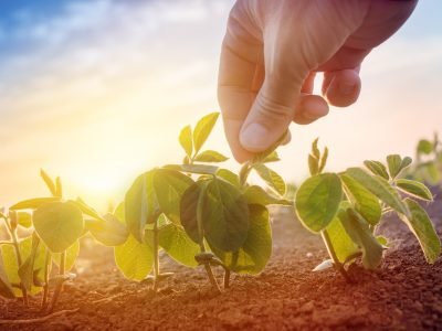 Produção - Créditos: Shutterstock