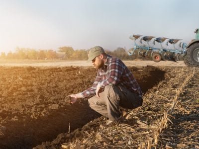 Cuidados com o solo - Crédito: Créditos: Shutterstock