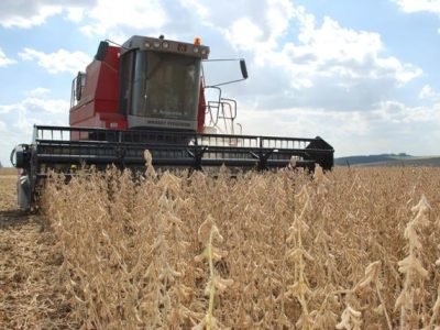 A dessecação facilita a colheita de grãos, pois promove a rápida e completa secagem de todas as partes verdes da planta - Crédito Luiz Henrique Magnan