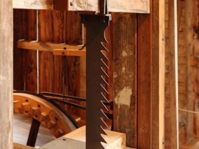 A madeira nobre pode ter diferentes fins de processamento - Crédito Shutterstock