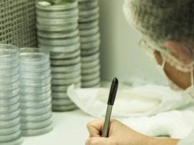 Foto-02-A-pesquisa-avança-a-passos-largos-no-segmento-da-biorrefinaria-Crédito-Fibria-1-427x486